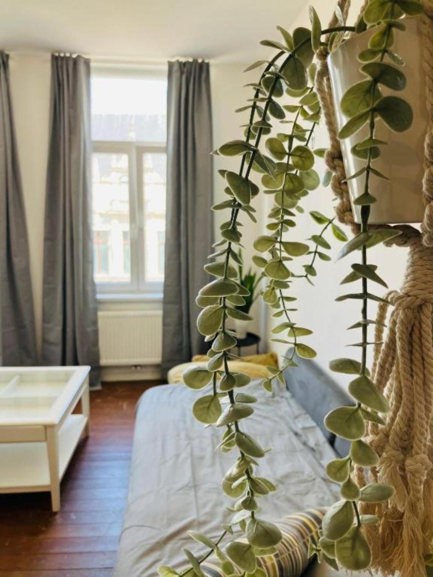 Bnb Suikernest Antwerpen Eksteriør bilde